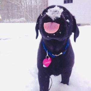 少女全裸做爱免费视频
