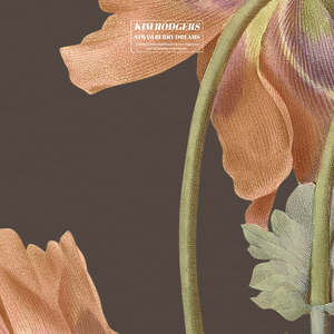 少女全裸做爱免费视频
